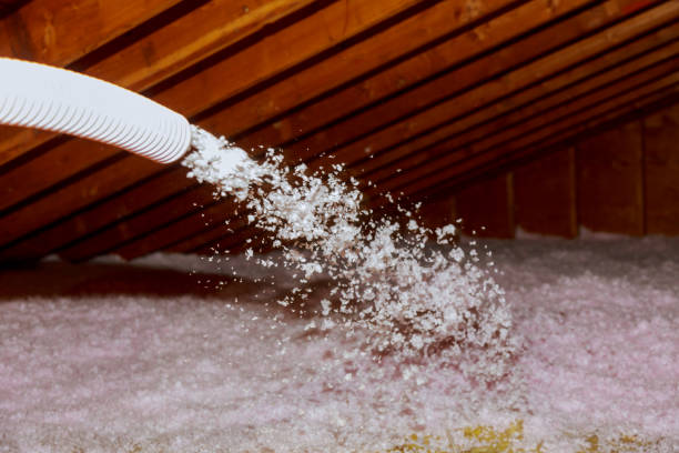 Best Commercial Insulation in Chase, PA