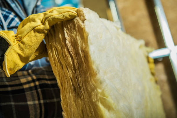 Types of Insulation We Offer in Chase, PA