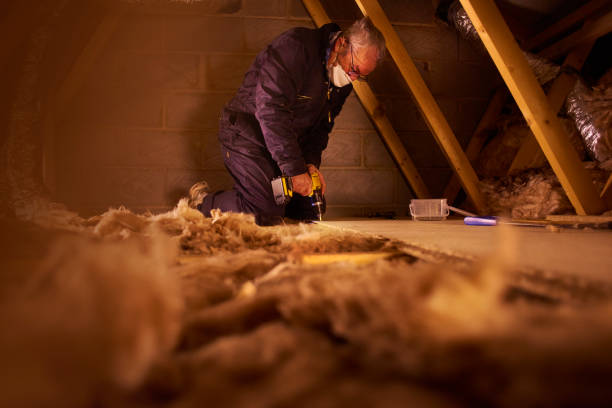 Best Insulation Maintenance and Repair in Chase, PA